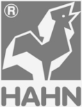 HAHN Logo